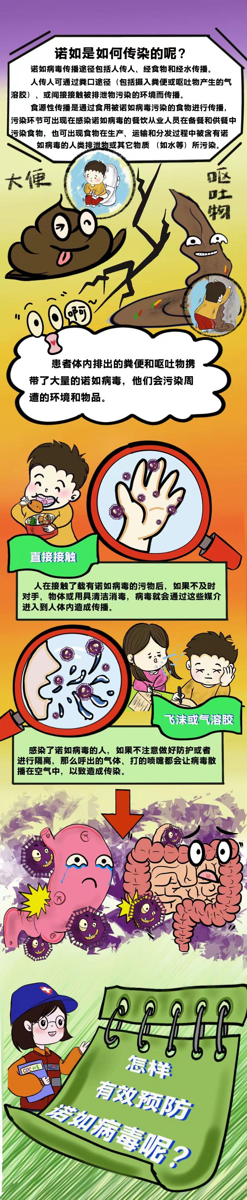 【图文类】《诺如 知不知》2毛晓莉、张忠玉.jpg